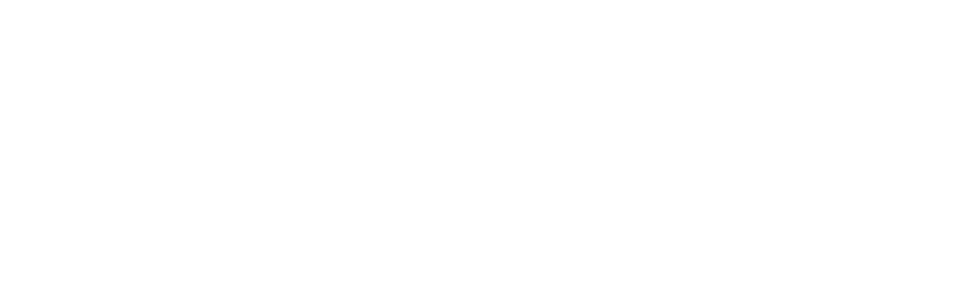 SafetyFromSpace logotype